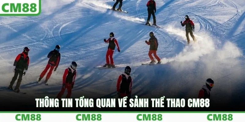 Thông tin tổng quan về sảnh thể thao CM88